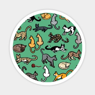 Cat World Magnet